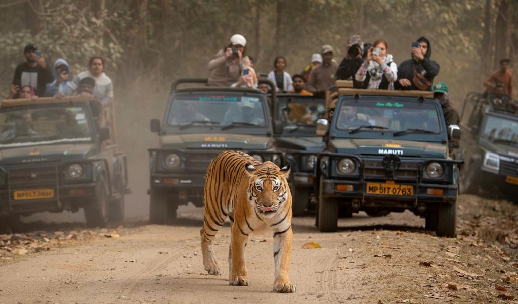 WhatsApp Image 2023-06-02 at 11.13.12 (1)